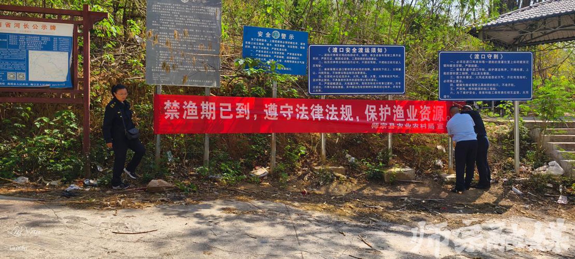 超峰中药材